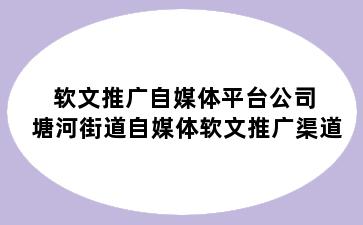 软文推广自媒体平台公司 塘河街道自媒体软文推广渠道